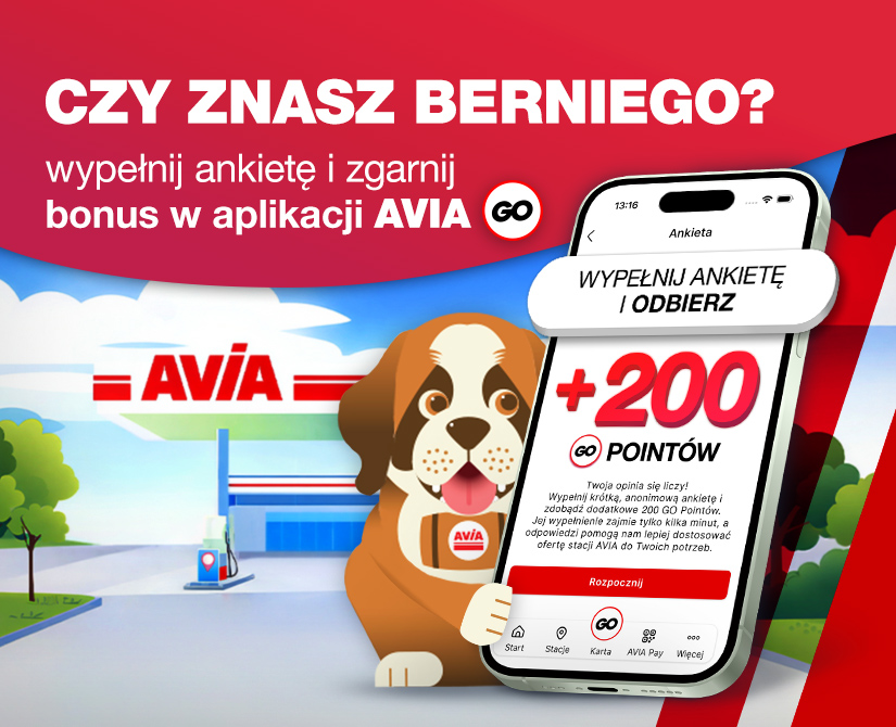 Ankieta o Bernim